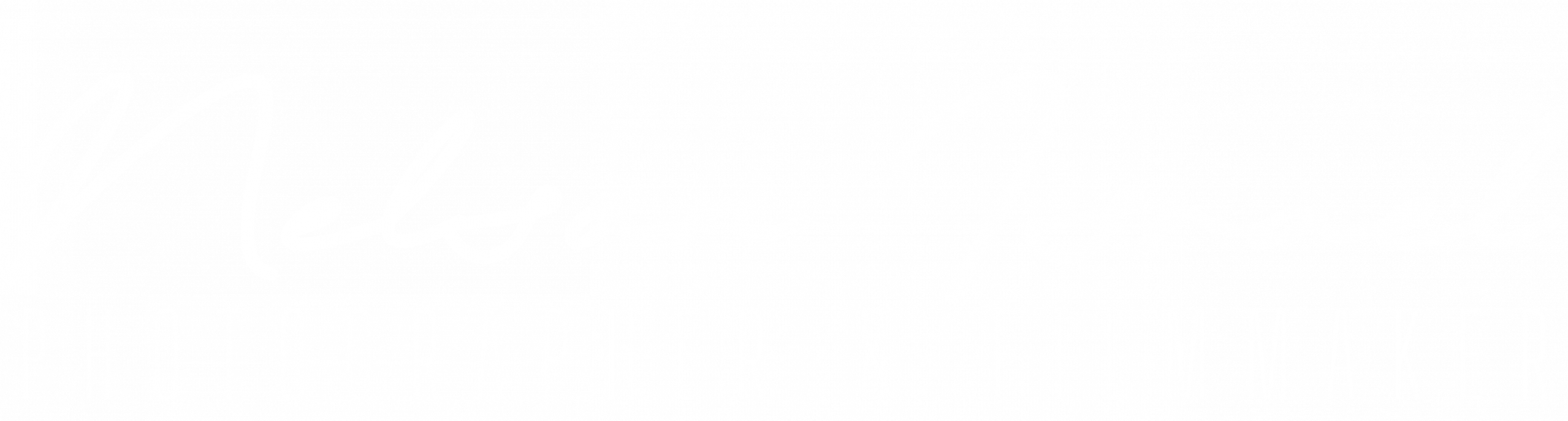 Logo Nelson Israel - photographe videaste provence var 83 mariage event